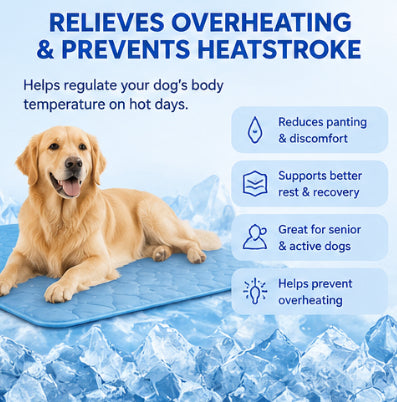 PawFrost™-Arctic Cooling Mat