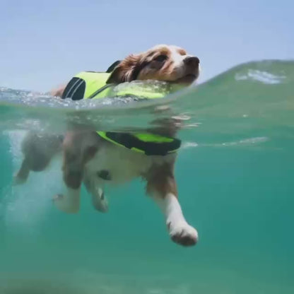 Pupfloat™– Dog life jacket with head support